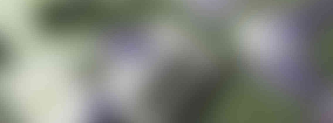 http://www.siddhchem.com/wp-content/uploads/2013/03/relay_slide_3_v01-1136x420.jpg