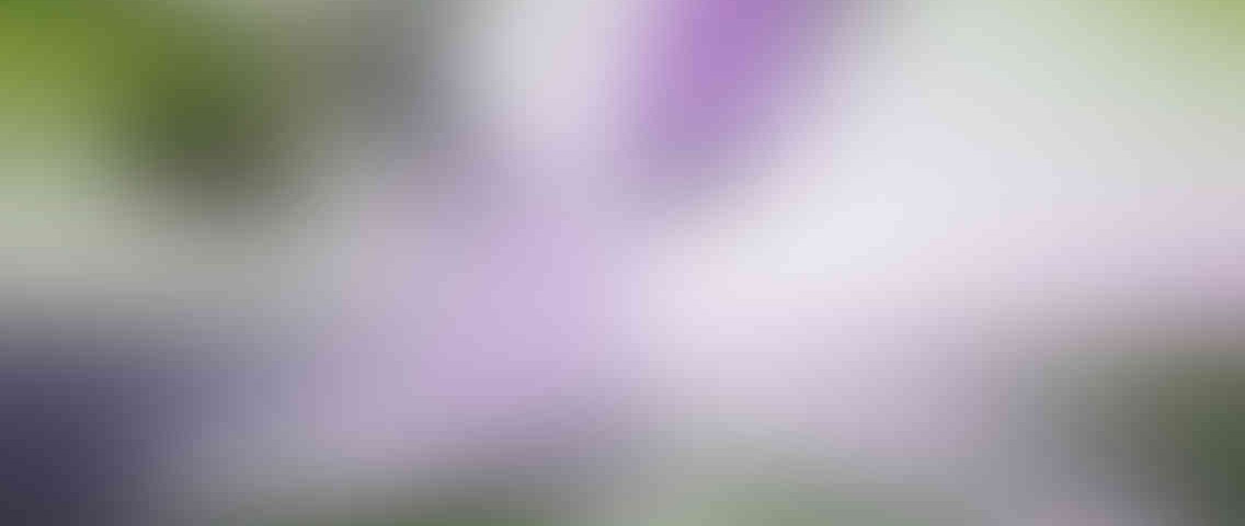 http://www.siddhchem.com/wp-content/uploads/2013/03/standout_slide_2_v01-1136x480.jpg
