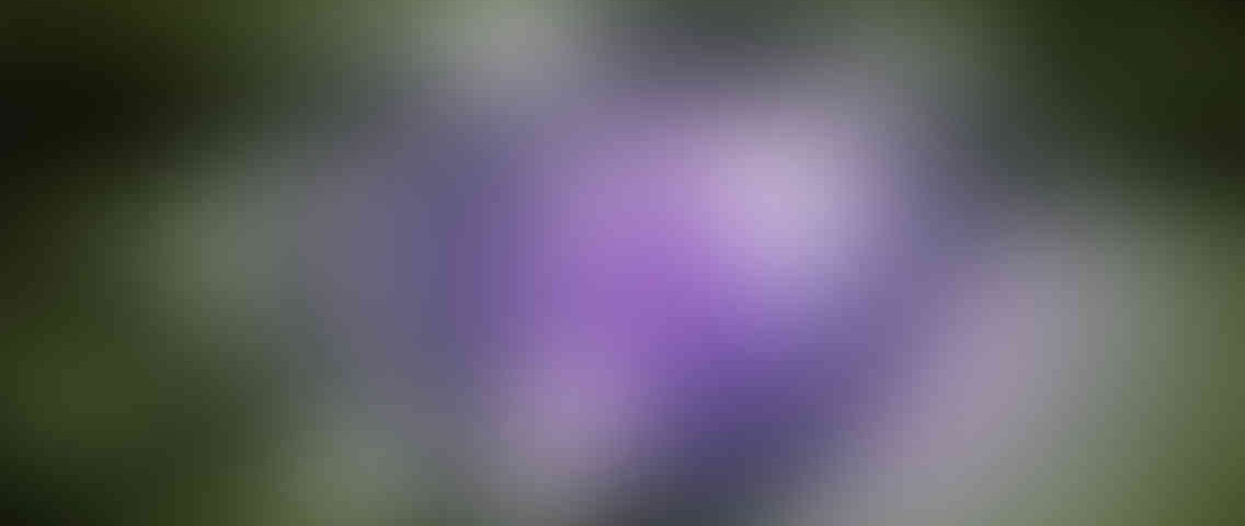 http://www.siddhchem.com/wp-content/uploads/2013/03/standout_slide_3_v01-1136x480.jpg